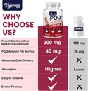 200 mg Pycnogeno with PQQ, Premium French Maritime Pine Bark Extract, Unique Dual-Delivery for Maximum Absorption, Pine Bark Extract for Vascular & Heart & Joint Function - 120 Vegan Softgels 5