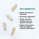 ONNIT Total Gut Health Daily Digestive Support, IGEN™ Non-GMO Tested Digestion Supplement for Women and Men with 7 Strains of Probiotics, Prebiotics, Enzymes and Betaine HCL, 60 Count 4