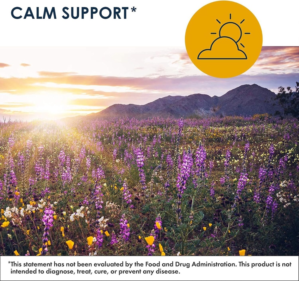 Metabolic Maintenance MetaCalm - GABA L-Theanine Supplement for Calm, Sleep, and Stress Support, Vitamin B6, Active Folate, Magnesium & 5-HTP Complex for Adults, Men and Women - 90 Capsules 5