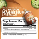 Nutrivein Premium Magtein Magnesium L-Threonate Supplement 2207 mg - 90 Caps (3 a Day): High-Absorption Magnesium Threonate for Brain, Sleep, Mood & Recovery 3