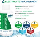 BEAM MINERALS Travel Pack | Electrolyte & Micronutrient Support On-The-Go | Micro-Boost, Electrolyze, and Insta-Lytes 2 fl Oz 5