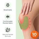 Wellnee Original Herbal Knee Patch - Wellknee Plaster for Knee Support & Muscle Pain - Maximum Strength for a Temporary Relief - Adhesive Heat Patches Made with Natural Herbs for Wellness (10 Pads) 4