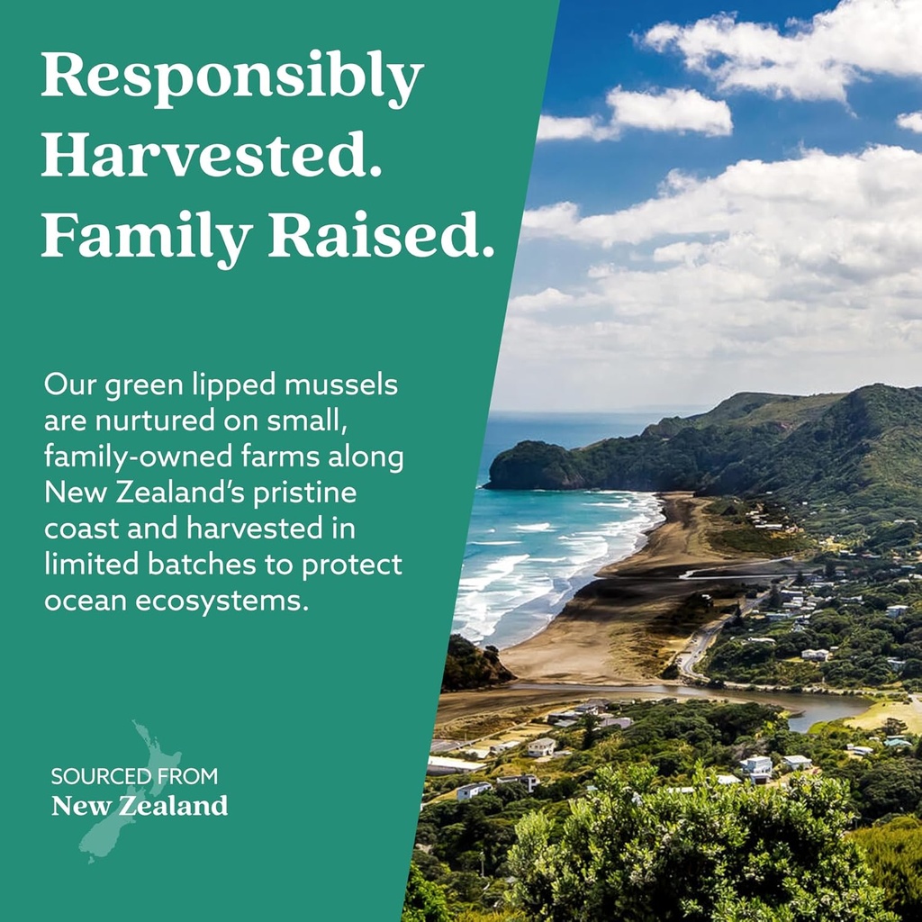 GLX3 Joint Support Extra Strength Omega-3 Supplement | Premium New Zealand Green Lipped Mussel Oil - Comfort, Flexibility, Muscle Recovery - ETA EPA DHA Omega 3 Capsules 2 Month 6