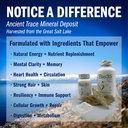 Bio35 / 300 sg Original Now Gluten Free 5