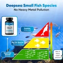 rTG Omega 3 Fish Oil Dietary Supplement - High Absorption & Fast Acting, Burpless Fish Oil Supplement from Anchovy. re-esterified Triglyceride w/EPA & DHA (as rTG) 960mg - 120 Softgels by CGM Labs 5