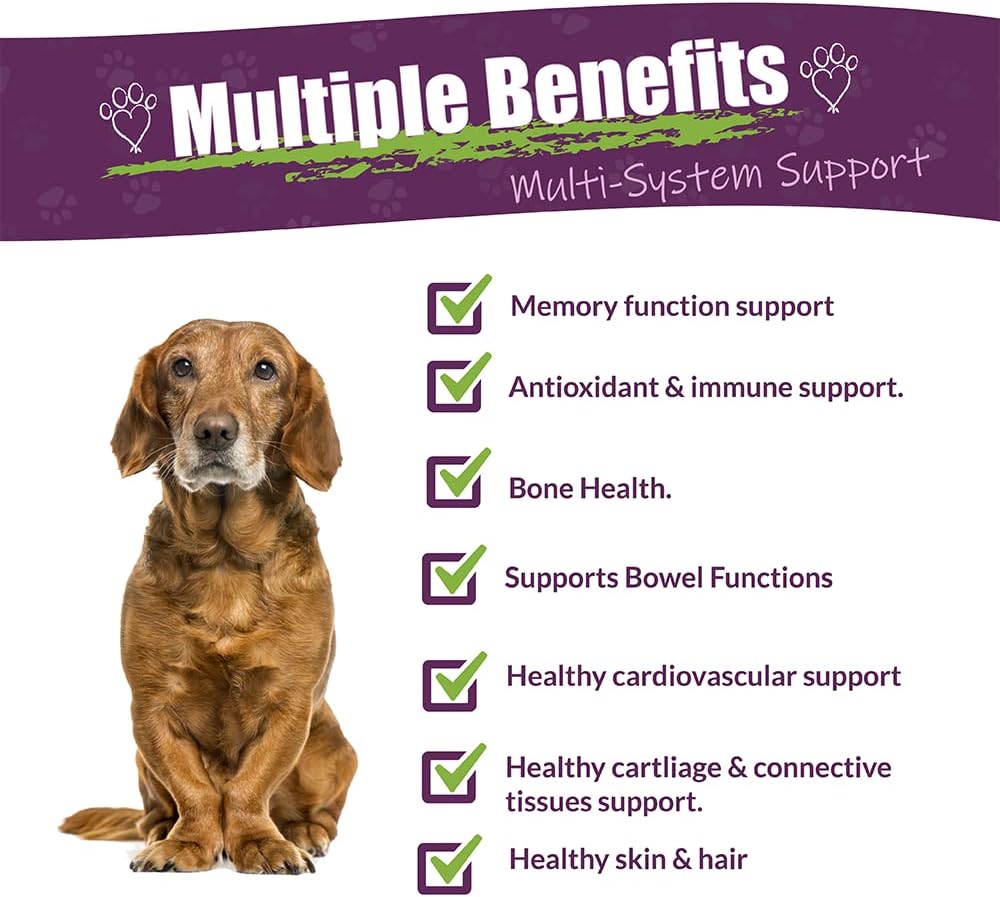 Amber NaturalZ Carticil Plus Herbal Supplement for Dogs | Multi-System Support for Joint, Digestive, and Immune Health | Natural Aid for Overall Wellness and Vitality | 30-Day Medium Dog Supply 3