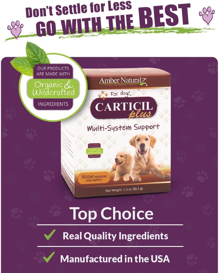Amber NaturalZ Carticil Plus Herbal Supplement for Dogs | Multi-System Support for Joint, Digestive, and Immune Health | Natural Aid for Overall Wellness and Vitality | 30-Day Medium Dog Supply 6