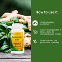 Peppermint Gels: 90 Enteric Coated softgels with Ginger and Fennel Oils from Rachel's Tea 4