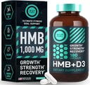 WILD FUEL HMB with Vitamin D3, Amino Acid Complex and Keto MCT Oil Gummies Power and Recovery Bundle 3