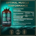 WILD FUEL HMB with Vitamin D3, Amino Acid Complex and Keto MCT Oil Gummies Power and Recovery Bundle 4