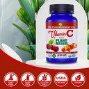THE FOOD MOVEMENT CO. 100% Plant-Based Vitamin C 60 Capsules 125mg - Adults Immune System Antioxidant Support Dietary Supplement - Whole Food Vegan Supplements from Organic Non-GMO Gluten-Free Fruits 3