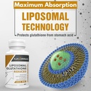 1400 mg Liposomal Glutathione, Superior Absorption Complex Reduced Glutathione Supplement with Vitamin C, Hyaluronic Acid, Master Antioxidant for Liver Detox, Brain, Skin 4