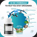 GABA 5-HTP L-Tryptophan L-Theanine Vitamin D3 Vitamin B6 Holy Basil Valerian Chamomile Ginkgo Biloba Ginger -150 Capsules- Made in USA 5