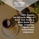 Sun Potion Reishi Mushroom Powder (Organic) - (100g) 3