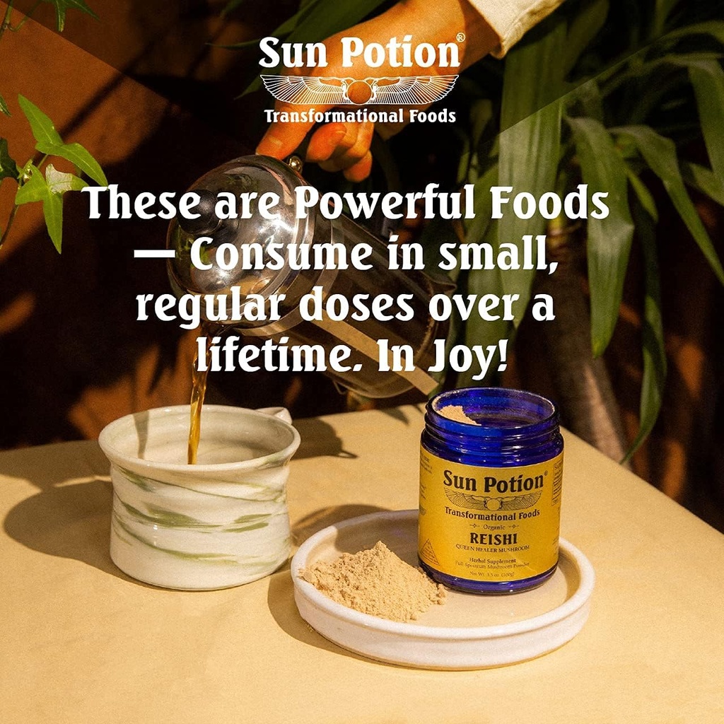Sun Potion Reishi Mushroom Powder (Organic) - (100g) 6