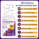 300 Billion AFU Akkermansia Probiotic | GLP-1 Supplement for Women & Men, Akkermansia Muciniphila for GLP-1, Digestive, Gut, Immune, Enhances Gut Digestive Lining function, Akka Superbiotics - 60 Caps 3