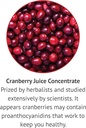 Botanic Choice Alcohol Free Liquid Extract Herbal Supplements, Cranberry, 1 Ounce 4