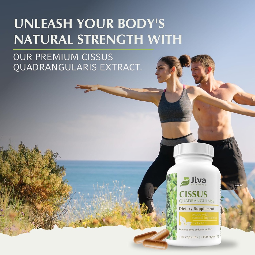 Jiva Botanicals Cissus Quadrangularis Capsules 550 mg - High Potency Cissus Powder Extract for Normal Bone Health & Normal Joint Support - 120 Capsules (Pack of 1) 5