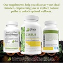 Jiva Botanicals Cissus Quadrangularis Capsules 550 mg - High Potency Cissus Powder Extract for Normal Bone Health & Normal Joint Support - 120 Capsules (Pack of 1) 6