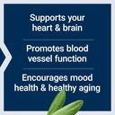 Life Extension Super Omega-3 EPA/DHA Fish Oil, Sesame Lignans & Olive Extract – Heart Health, Brain Health, Inflammation Health Support, Gluten-Free, Enteric-Coated, Non-GMO, 60 Softgels 5