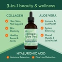 360 Nutrition Liquid Collagen + Aloe Drops | Natural Detox, Radiant Skin, Cleansing and Digestion Support | 60 Servings Per Container (Collagen + Aloe) 3