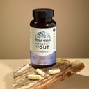 TERRA ORIGIN Healthy Gut with Vitamin D 5000 IU | 60 Capsules | Gut Health Supplements for Men and Women | Supports Digestion and Gas 3