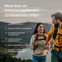 EcoNugenics Ten Mushroom Supplement: Daily Immune Support, 120 Capsules – Lion’s Mane, Reishi, Cordyceps, Turkey Tail – Energy, Gut Health, Liver, Kidney, Cholesterol & Nootropic Brain Support 6