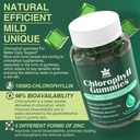 Chlorophyll Gummies - Super Green with Wheat Grass, Sea Moss, Unfiltered ACV & Elderberry, Echinacea, Zinc Complex & Vitamin D3, C, E, B12 for Natural Deodorant, Immune & Digestion Support, 60 Chews 4