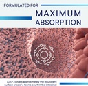 Biotics Research A.D.P. Emulsified Oil of Oregano Tablets for GI Health -Sustained Release for High Absorption Contains Carvacrol, Wild Oregano Oil 50mg/S - Patented Formula -Non GMO –60 Tablets 6