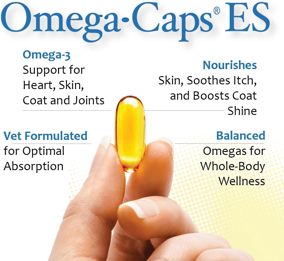 Omega-Caps ES for Large & Giant Dogs - Omega 3, Vitamins, Minerals, Antioxidants - Support Immune System, Joints, Heart, and Brain - 250 Softgel Capsules 3