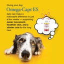 Omega-Caps ES for Large & Giant Dogs - Omega 3, Vitamins, Minerals, Antioxidants - Support Immune System, Joints, Heart, and Brain - 250 Softgel Capsules 4