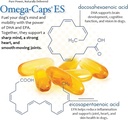 Omega-Caps ES for Large & Giant Dogs - Omega 3, Vitamins, Minerals, Antioxidants - Support Immune System, Joints, Heart, and Brain - 250 Softgel Capsules 6