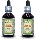 Black Currant (Ribes nigrum) Tincture, Dried Leaves Liquid Extract (Brand Name: HerbalTerra, Proudly Made in USA) 2x4 fl.oz (2x120 ml) 5