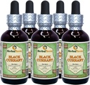 Black Currant (Ribes nigrum) Tincture, Dried Leaves Liquid Extract (Brand Name: HerbalTerra, Proudly Made in USA) 2x4 fl.oz (2x120 ml) 6