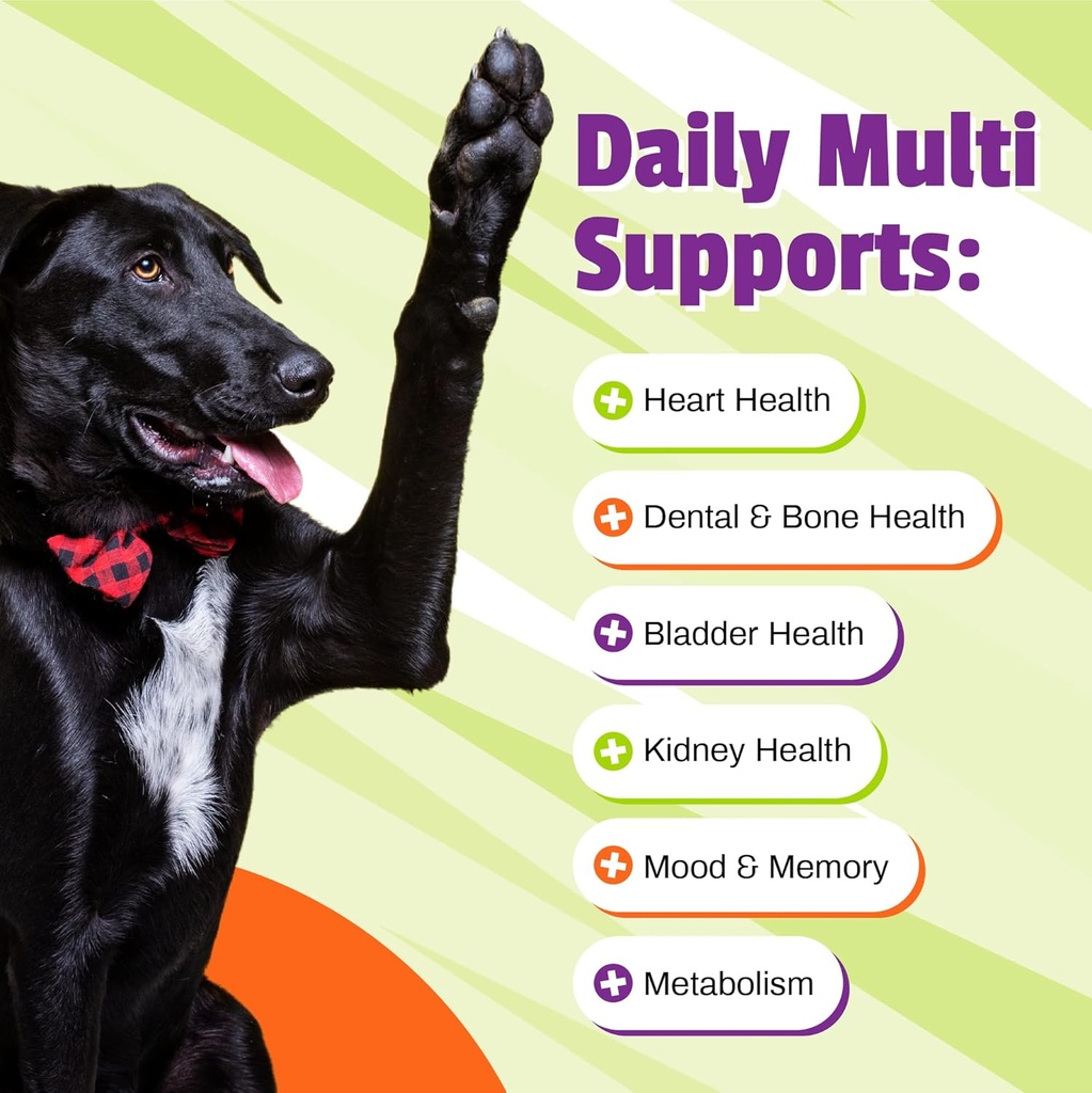 Pet Naturals Daily Multivitamin for Dogs, Veggie Flavor, 150 Chews - Yummy Chews with Amino Acids, and Antioxidants - Supports Energy, Metabolic Function and Pet Wellness 5