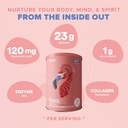 BIRDMAN Fitmingo Vegan Protein Powder with Inositol, Collagen Boosters, Hyaluronic Acid and Vitamins | Low Carb, Dairy Free, Low Calorie | 23g Plant Based Blueberry Protein Powder with Myo-Inositol 5