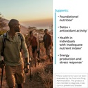 XYMOGEN ActivNutrients Without Copper & Iron - Multimineral Multivitamin for Men + Women with Folate, B12, Zinc and Vitamin C, Beta Carotene, Selenium Supplement - Daily Multivitamin (120 Capsules) 5