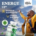 Wild & Organic Chlorophyll Gummies 50mg - Detox Cleanse Supplements w/Sodium Copper Chlorophyllin - Internal Deodorant w/Chlorophyll Powder - Vegan, Non-GMO - 60 Herbal Chews 3