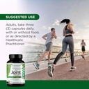 EMERALD LABS Joint Health - Biocell II Collagen, OptiMSM, Glucosamine, Meriva Turmeric Curcuminoids & More - Joint Health, Mobility & Flexibility Support* - 90 Vegetable Capsules (30-Day Supply) 6