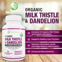All-Natural Liver and Gut Support | Organic Milk Thistle, Organic Dandelion Root & Organic Black Pepper | Ginger, Artichoke Leaf Extract, Deglycerized Licorice Root & Patented Zinc Carnosine 6