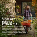 Bronson Vitamin B12 1000 mcg Sustained Release Premium Non GMO Tablets Supports Nervous System, Healthy Brain Function and Energy Production, 250 Count 6