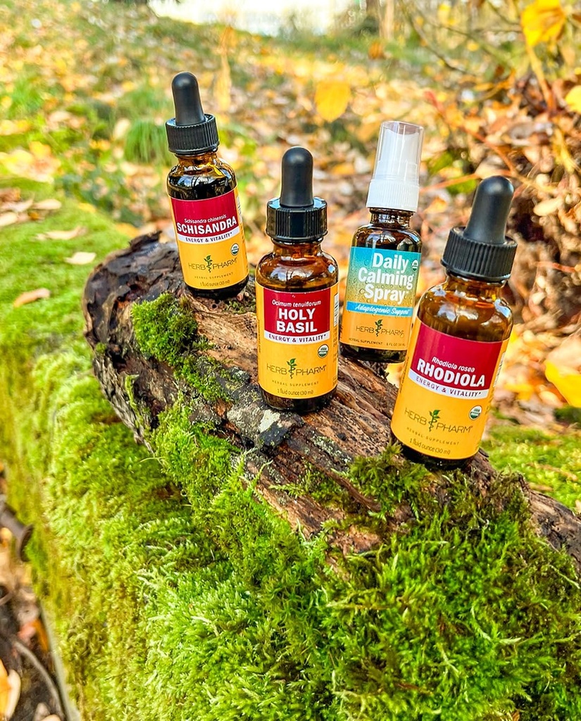 Herb Pharm Certified Organic Schisandra Berry Liquid Extract - 1 Ounce 6