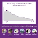 NEVISS Vegan Iron Supplement, Gentl Iron + Sugar Free Nicotinamide 500mg Gummies 4