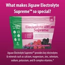 Jigsaw Health Electrolyte Supreme | Broad Spectrum of Electrolytes + Trace Minerals | Berry-Licious Flavor | 60 Servings (Packets) 6