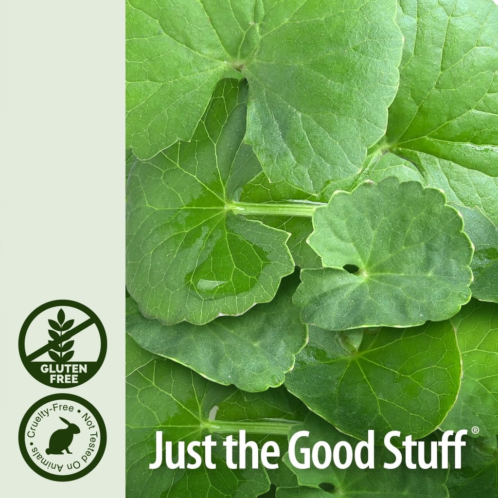 Nature's Answer Gotu Kola Herb with Organic Alcohol, 2-Fluid Ounces 6