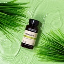 Nature's Sunshine Chlorophyll, 60 Softgel Capsules: Support Digestion, Immunity & Detoxification with Internal Deodorant Benefits. Easy-to-Swallow Capsules Promote Overall Well-Being & Energy 3