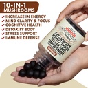 Sakoon nutrition Lions Mane Mushroom Gummies with Turkey Tail, Reishi & More, 2500mg, 60 Count, Raspberry Flavored 6