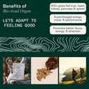 Adapt Naturals Organ Supplement, Bioavailable Grass Fed Beef Liver Capsules, Blend of Liver, Heart, Kidney, Pancreas & Spleen, Support Liver Cleanse Detox & Repair | Source of CoQ10-30 Days Supply 4