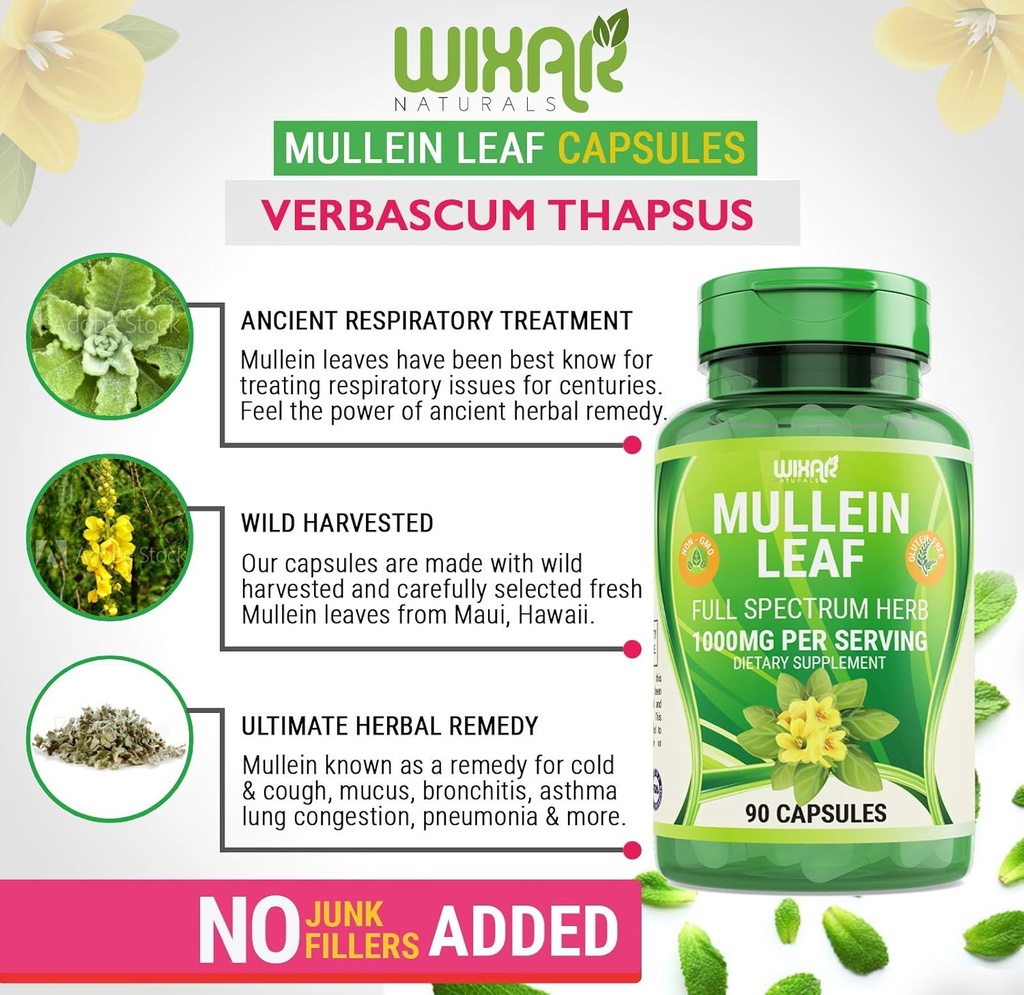 Mullein Leaf Capsules - 90 Capsules - Herbal Supplement Supports Healthy Respiratory Function & Mucous Membranes - 1000 mg - Natural Mullein for Lung Cleanse Support 5