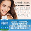 Root Vitality Collagen Peptides Capsules - Grass-Fed, Pasture-Raised Hydrolyzed Protein Supplement for Skin, Hair, & Nails - Non-GMO, Zero Sugar Daily Pills for Men & Women (180 Capsules) 3
